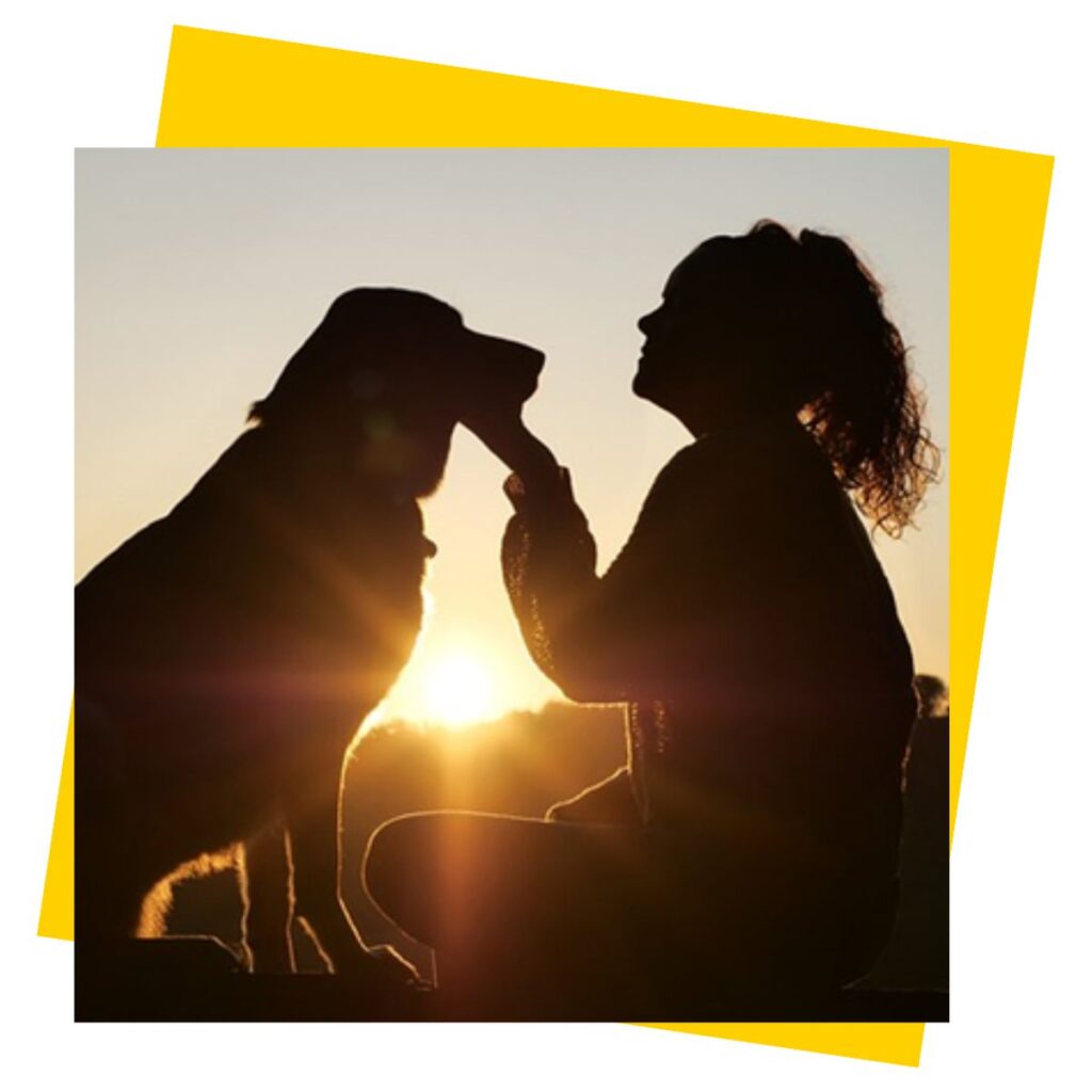 Dying Matters Awareness Week: Pet Bereavement Cafe