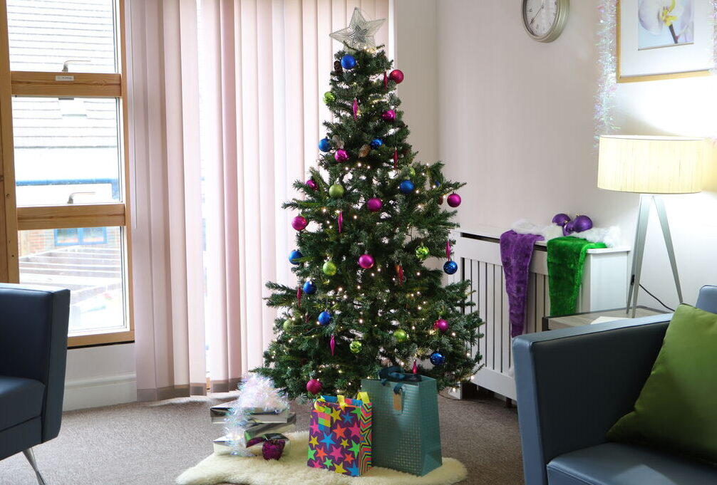 IMG 7171 to be uploaded aspect ratio 288 195