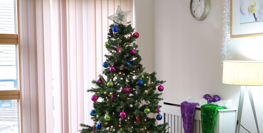 IMG 7171 to be uploaded aspect ratio 790 400