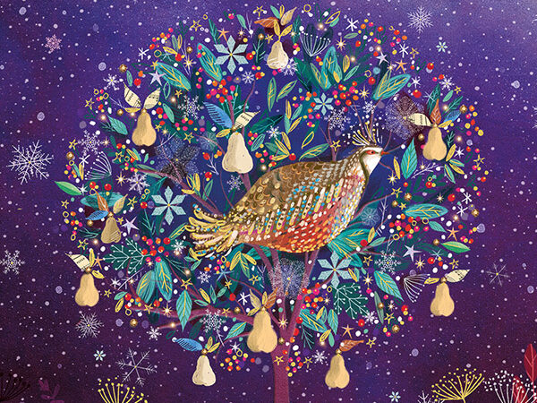 Golden Partridge aspect ratio 400 300