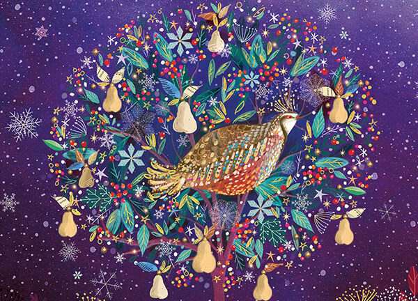 Golden Partridge aspect ratio 405 292