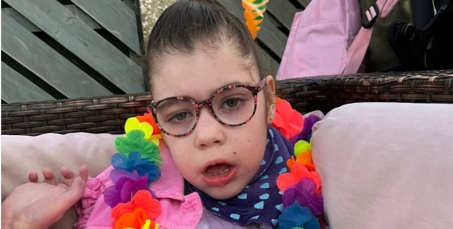 Lily 139992 aspect ratio 790 400