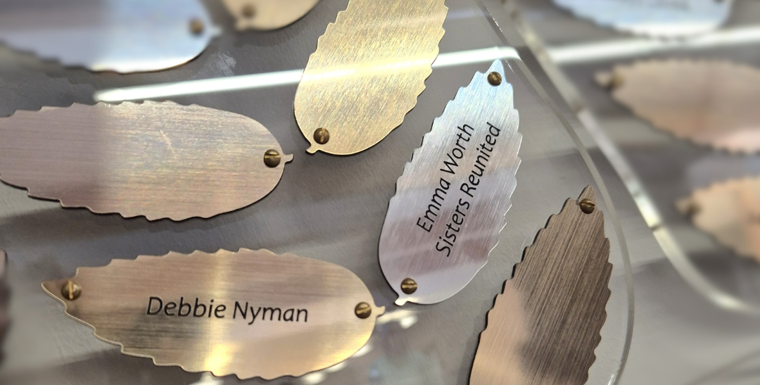 Memory Tree header aspect ratio 790 400