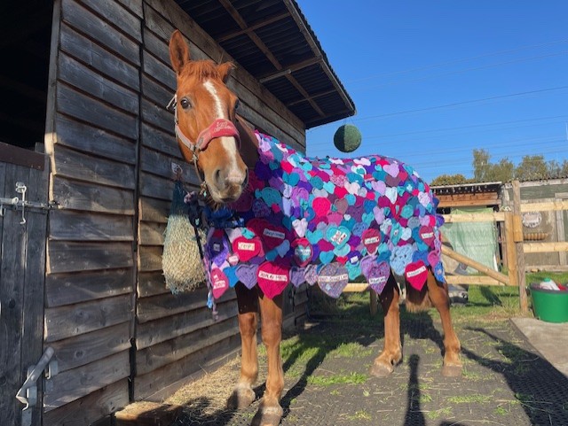 Sammi Wenn and horse Chester