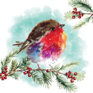 Perching Fluffy Keech Hospice Christmas Cards
