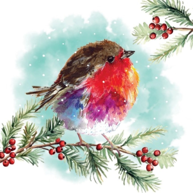 Perching Fluffy Keech Hospice Christmas Cards